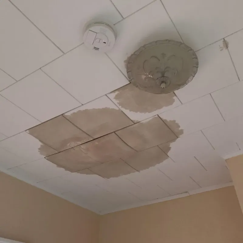 Ceiling Water Damage Repair in West University Place, TX