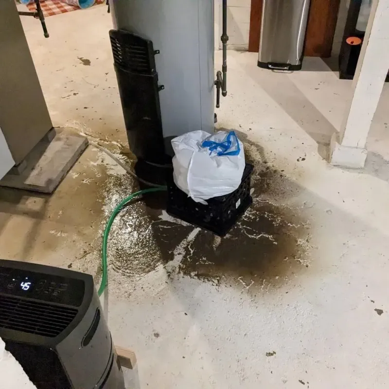 Sewage Backup Cleanup Service in West University Place, TX